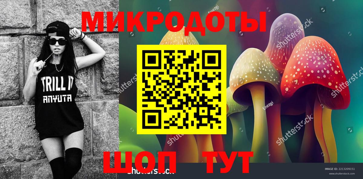 наркошоп  Вход с VPN  Королёв  Псилоцибиновые грибы MAGIC MUSHROOMS 